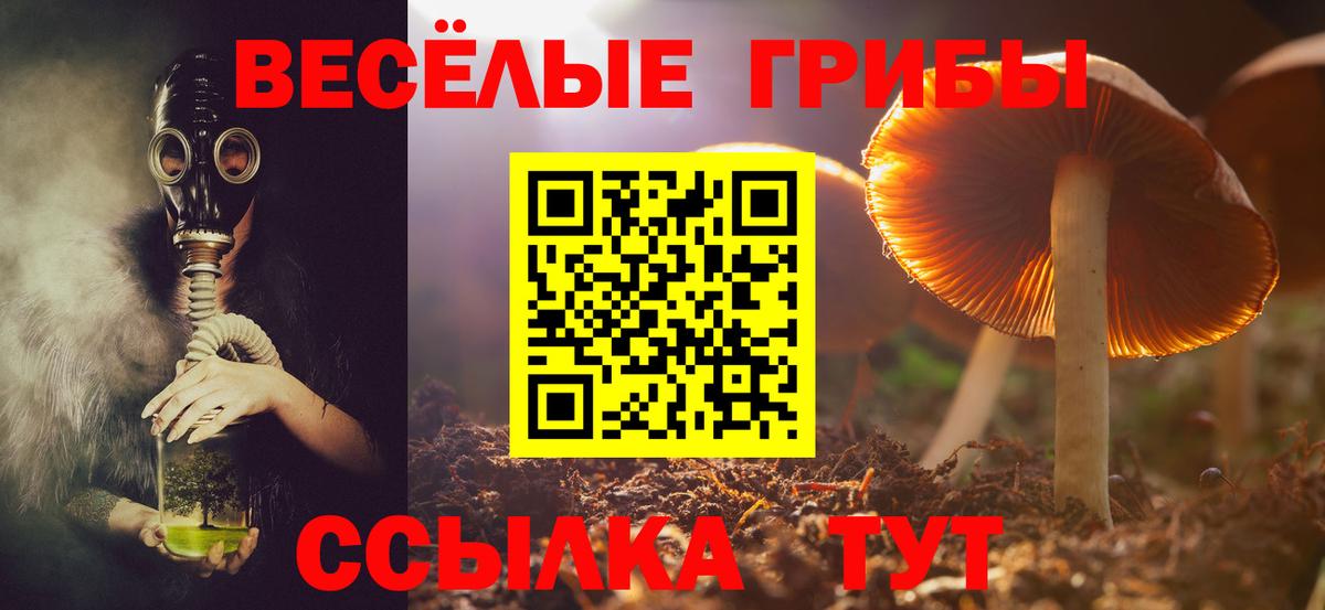 Октябрьский  Псилоцибиновые грибы Cubensis  Вход с VPN 